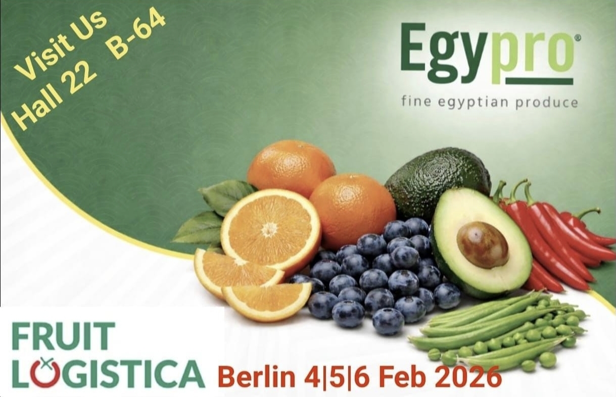 IMG_20260202_135650-1