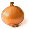 cookingonion